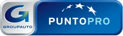 Punto Pro